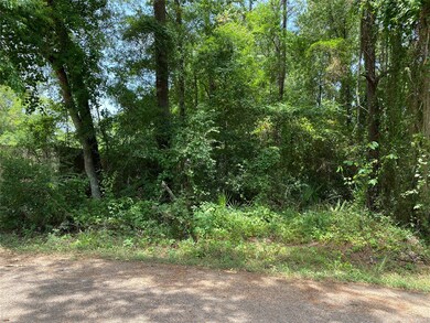 0 Twin Deer, Conroe, TX 77385 - photo 3