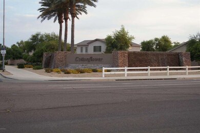 Cottonflower Ranch, Goodyear