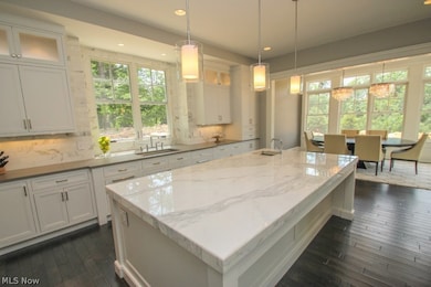 11329 Caves Rd, Chesterland, OH 44026 - photo 4