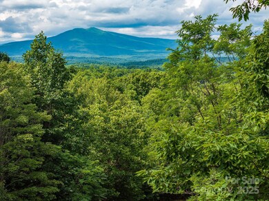 155 Big View Dr unit 155, Marion, NC 28752 - photo 5