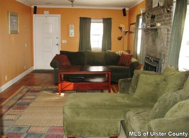 244 Plutarch Rd, Highland, NY 12528 - photo 3