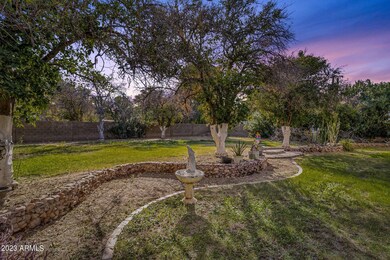 507 E Ivy St, Mesa, AZ 85203 - photo 4