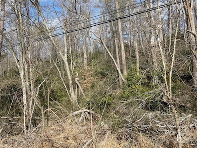 Off Highway 70 E, Old Fort, NC 28762 - photo 4