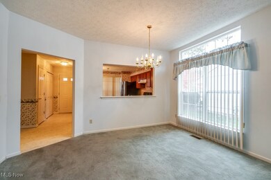 1111 Lake Meadow Ln, Brunswick, OH 44212 - photo 7