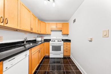253 E Delaware Place unit 14D, Chicago, IL 60611 - photo 7