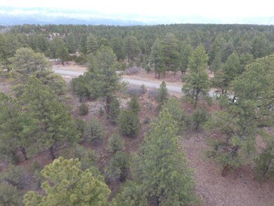 DJI_0012