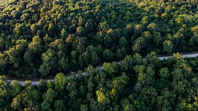 Lot 8 Hanging Branch Ridge, Flat Creek A Township, MO 65624 - photo 4