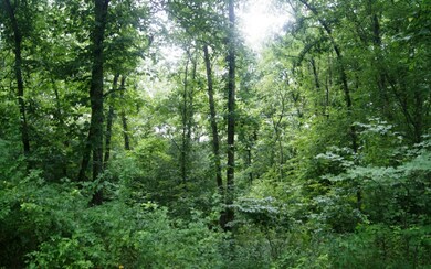 Additional View