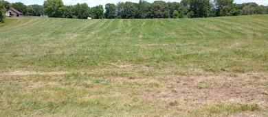 0 Vantrease Rd, Franklin, KY 42134 - photo 4