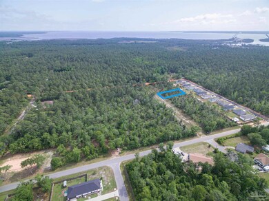 Lot 9 N 11th Ave, Avalon, FL 32583 - photo 7