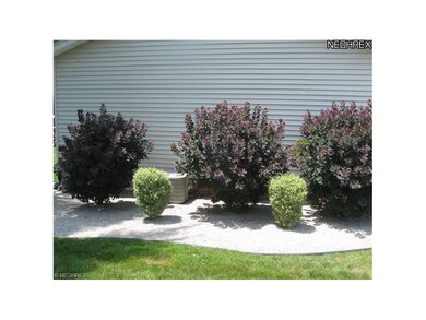Nice landscaping