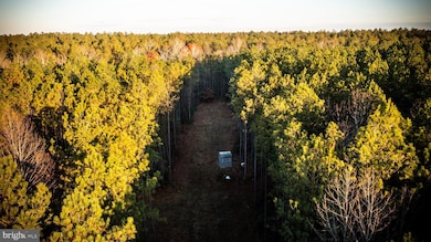 TBD Iris Rd, Mascot, VA 23108 - photo 6