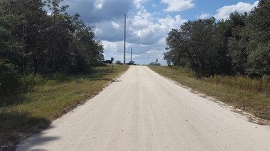 0 SW 73 St unit MFROM543638, Ocala, FL 34481 - photo 4