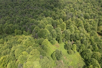 0 Greenbush Rd unit Held - 12 11557762, Erin, NY 14838 - photo 4