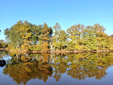 261 N County Line Rd, Sylvester, GA 31791 - photo 6