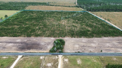 Elengton Rd aerial 2