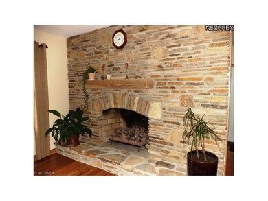 Fireplace Detail
