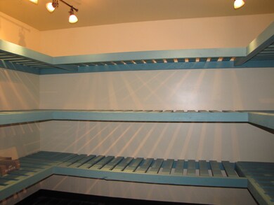 Large Storage Area With Shelving