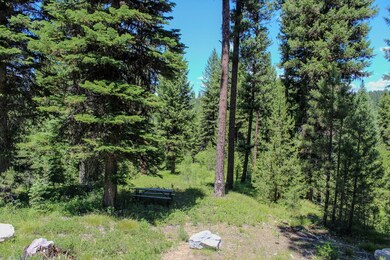 Nestled in the Pines