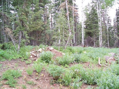 1460 W View Dr unit ZVME A-11, Duck Creek Village, UT 84762 - photo 2