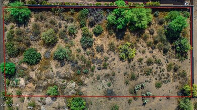 11145 E Brown Rd, Mesa, AZ 85207 - photo 5