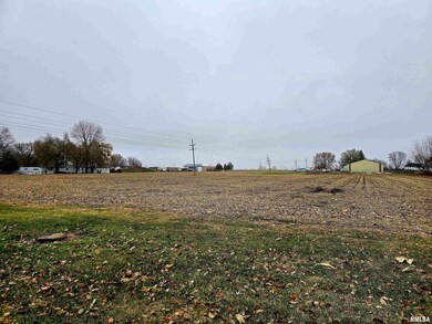 1600 E Walnut St, Canton, IL 61520 - photo 4