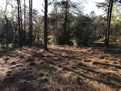 8965 SW 212th Ct, Dunnellon, FL 34431 - photo 4