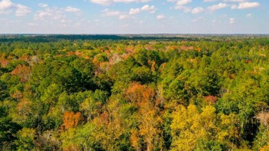 0 Twin Forks Rd unit 25651129, Statesboro, GA 30458 - photo 6