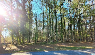 000 Welch Ave unit 1, Talladega, AL 35160 - photo 3