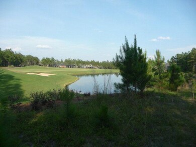 Green & pond view