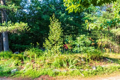 11 Bow Mills Rd, Barnstead, NH 03225 - photo 4