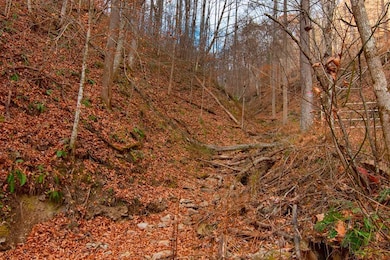 0 Parsons Dr, Mullens, WV 25882 - photo 4