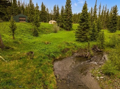 34 Goat Mountain Rd, Wilsall, MT 59086 - photo 7
