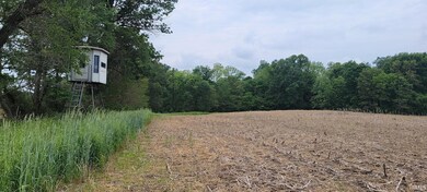61 Acres Westgate Rd, Bloomfield, IN 47424 - photo 5