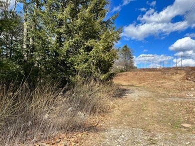 19 Bancroft Rd, Londonderry, NH 03053 - photo 3