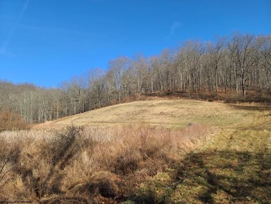 1931 Saint Leo Rd, Wadestown, WV 26590 - photo 6