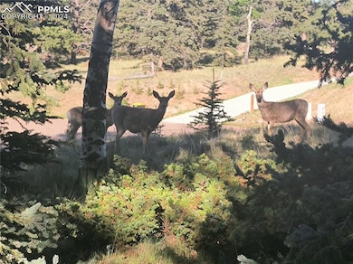 Wildlife