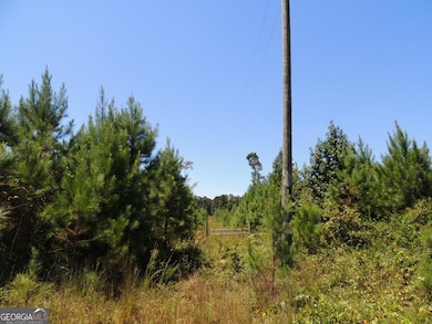 13.9 +/- AC Awbreys Gin Rd, Franklin, GA 30217 - photo 3