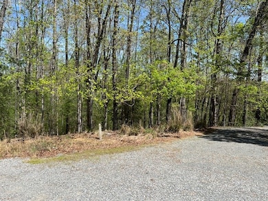 LT 3421 Hart Ct, Ellijay, GA 30540 - photo 3
