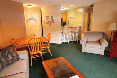 160 Deer Park Dr unit 146 C, Woodstock, NH 03262 - photo 7