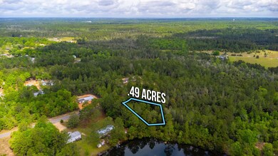 4-web-or-mls-28 E Michaelangelo Rd Aeria