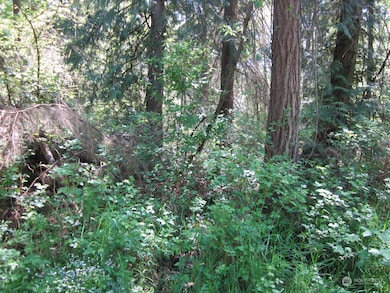 20633 SE 388th St, Enumclaw, WA 98022 - photo 6