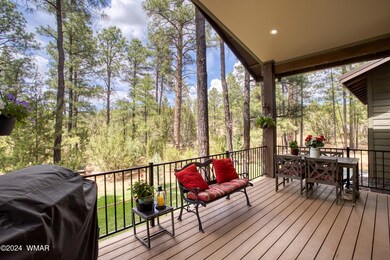 Covered Back Deck