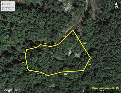 Lot 79 Spring Pond Trail, Fancy Gap, VA 24328 - photo 2