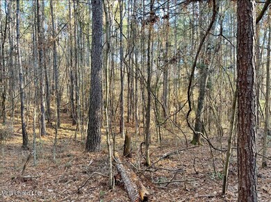 land-for-sale-pike-county-ms4 (6)