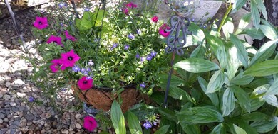 20140604_113536