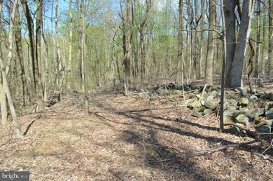 0 Raven Rocks Rd unit 1003475354, Bluemont, WV 20135 - photo 7