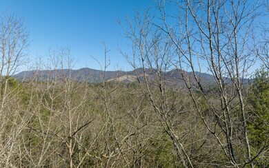 Additional View