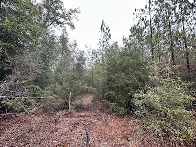 Tract#6418 Mattox Springs Rd unit North 2, Caryville, FL 32427 - photo 5