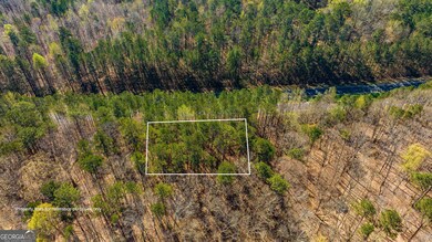 0 Highway 92 unit 10513871, Fairburn, GA 30213 - photo 2